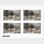 Sticker Rectangulaire Saumon de saut (Feuille)