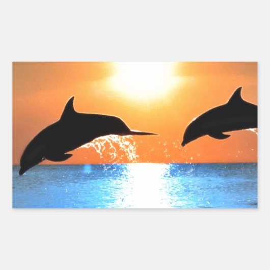Sticker Rectangulaire Saut de dauphins (Devant)