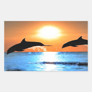 Sticker Rectangulaire Saut de dauphins