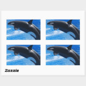 Sticker Rectangulaire Sauter Orca Whale (Feuille)