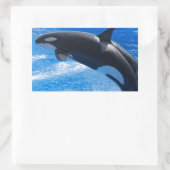 Sticker Rectangulaire Sauter Orca Whale (Sac)