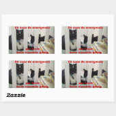 Sticker Rectangulaire Sauvez en cas d'urgence notre chat (Feuille)