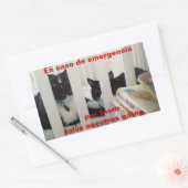 Sticker Rectangulaire Sauvez en cas d'urgence notre chat (Enveloppe)