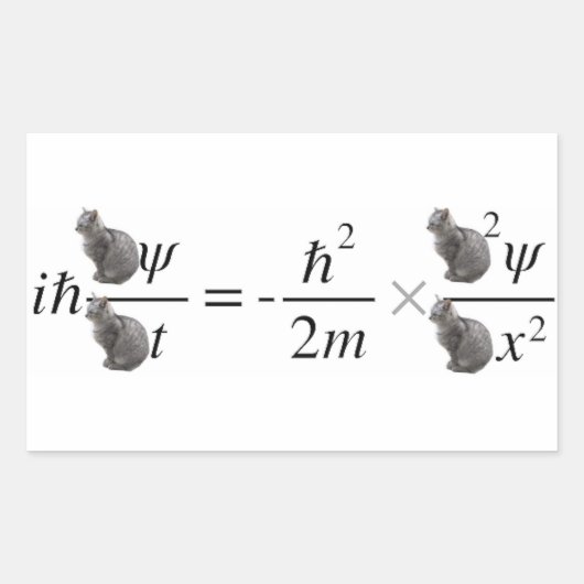 Sticker Rectangulaire Schrodinger's cat (Devant)