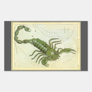 Sticker Rectangulaire Scorpion, Constellation Vintage Urania's Mirror