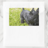 Sticker Rectangulaire Scottish Terrier (Sac)