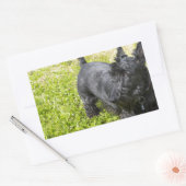 Sticker Rectangulaire Scottish Terrier (Enveloppe)