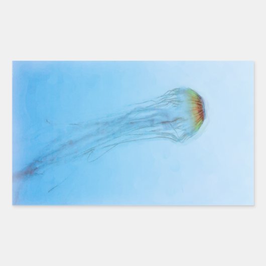 Sticker Rectangulaire Sea Nettle (Devant)