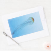 Sticker Rectangulaire Sea Nettle (Enveloppe)