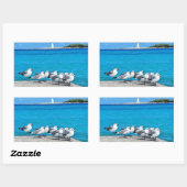 Sticker Rectangulaire Seagulls, Nassau, Bahamas  (Feuille)