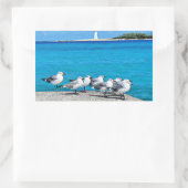 Sticker Rectangulaire Seagulls, Nassau, Bahamas  (Sac)