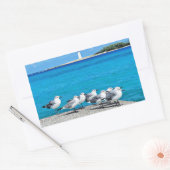 Sticker Rectangulaire Seagulls, Nassau, Bahamas  (Enveloppe)