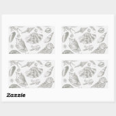 Sticker Rectangulaire Seashell Soft Antique Art Beach Shops (Feuille)