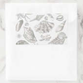 Sticker Rectangulaire Seashell Soft Antique Art Beach Shops (Sac)
