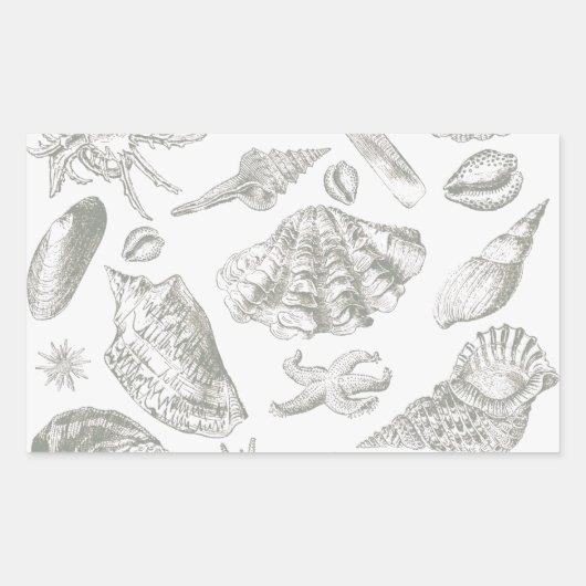 Sticker Rectangulaire Seashell Soft Antique Art Beach Shops (Devant)