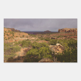 Sticker Rectangulaire Sentier Neck Springs dans le parc national de Cany