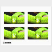 Sticker Rectangulaire serpent mamba vert Attendez l'amour en paix (Feuille)