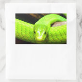 Sticker Rectangulaire serpent mamba vert Attendez l'amour en paix (Sac)