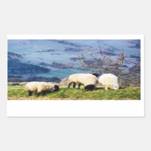 STICKER RECTANGULAIRE SHEEP