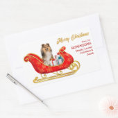 Sticker Rectangulaire Shetland Sheepdog Christmas Sleigh (Enveloppe)