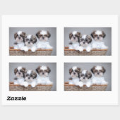 Sticker Rectangulaire Shih Tzu puppies (Feuille)