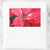 Sticker Rectangulaire Shimmer Star Surprise Poinsettia vacances Florale (Sac)