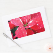 Sticker Rectangulaire Shimmer Star Surprise Poinsettia vacances Florale (Enveloppe)