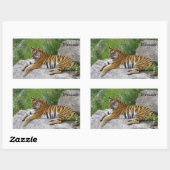 Sticker Rectangulaire Siberian Tiger Relaxing on a Rock (Feuille)