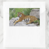 Sticker Rectangulaire Siberian Tiger Relaxing on a Rock (Sac)