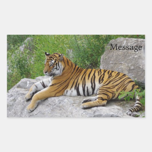 Sticker Rectangulaire Siberian Tiger Relaxing on a Rock (Devant)