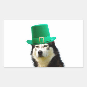 Sticker Rectangulaire Sibérien Husky Chien Saint Patrick jour