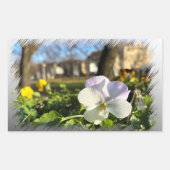 Sticker Rectangulaire Silver white pansy (Devant)