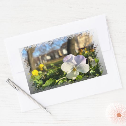 Sticker Rectangulaire Silver white pansy (Enveloppe)
