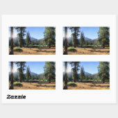 Sticker Rectangulaire Simpson Meadow - Sierra (Feuille)