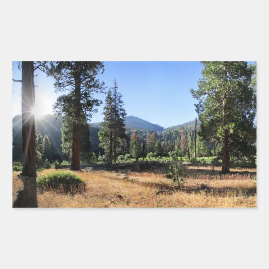 Sticker Rectangulaire Simpson Meadow - Sierra (Devant)