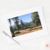 Sticker Rectangulaire Simpson Meadow - Sierra (Enveloppe)