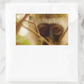 Sticker Rectangulaire Singe Cheeky. (Sac)