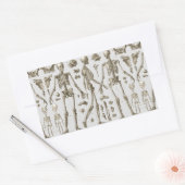Sticker Rectangulaire Skeletons de l'Encyclopedia Brockhaus & Efron (Enveloppe)