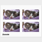 Sticker Rectangulaire Sleepy kittens (Feuille)