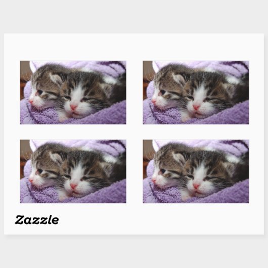 Sticker Rectangulaire Sleepy kittens (Feuille)
