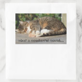 Sticker Rectangulaire Sleepy kitty (Sac)