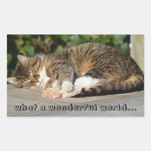 Sticker Rectangulaire Sleepy kitty (Devant)