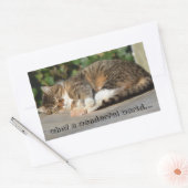Sticker Rectangulaire Sleepy kitty (Enveloppe)