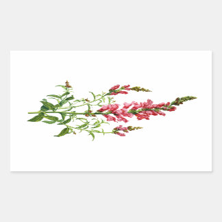 Sticker Rectangulaire Snapdragon Rose Tiré De La Nature