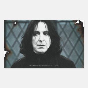 Sticker Rectangulaire Snape 1
