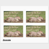 Sticker Rectangulaire Soak Up the Rays, à la Capybara ! (Feuille)