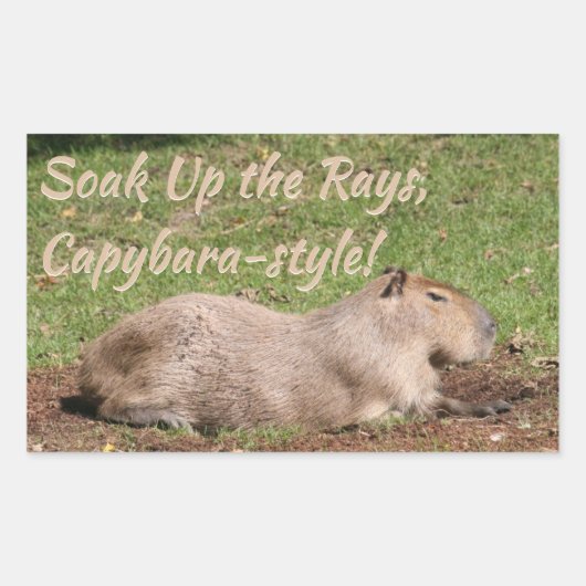 Sticker Rectangulaire Soak Up the Rays, à la Capybara ! (Devant)