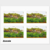 Sticker Rectangulaire Somalie, photo de paysage (Feuille)