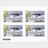Sticker Rectangulaire sommeil du groupe de laboratoires (Feuille)