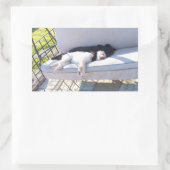 Sticker Rectangulaire sommeil du groupe de laboratoires (Sac)